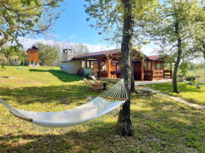 Secluded family friendly house Vizinada, Central Istria - Sredisnja Istra - 18530